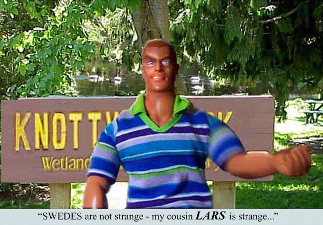 Swedes are not odd - MY COUSIN LARS is!