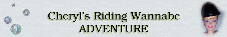Cheryl's Riding Wannabe  Adventure
