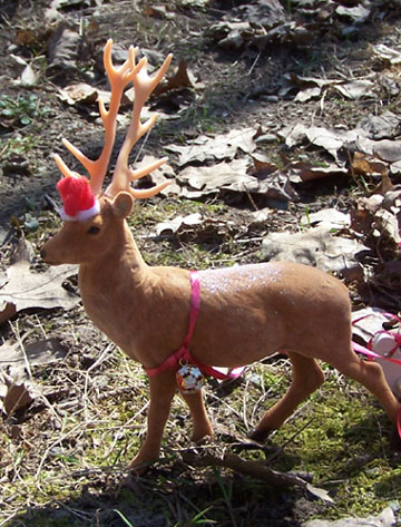 Santa's Reindeer in SPRING?