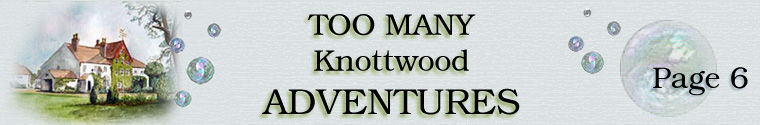 Adventure Page 6
