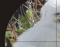 Photo courtesy of 6th Dimension