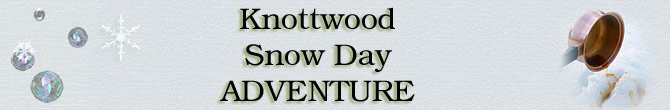 The Knottwood Snow Day Adventure