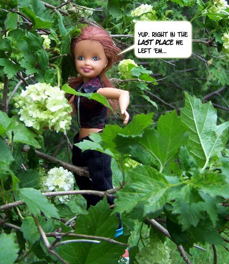 Isobel finds what she is looking for...
