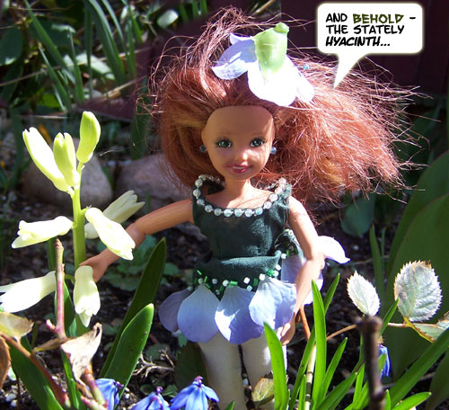 (And don't forget the little blue SCILLA...)