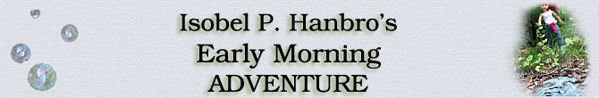 Isobel P. Hanbro's Early Morning Adventure