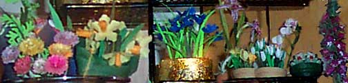 Some Loony Knoll flowers