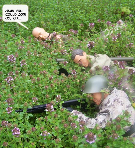 He is soon IN POSITION...