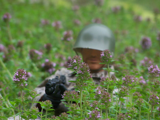 Stu has them in his RIFLE SIGHTS...