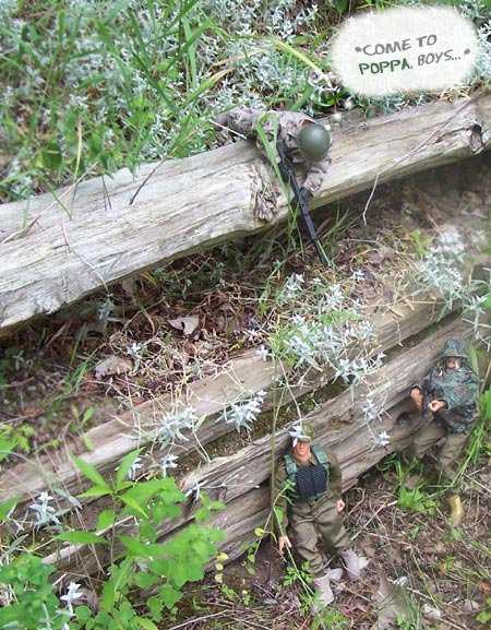 Stu has them in his RIFLE SIGHTS...