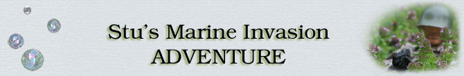 Stu's Marine Invasion Adventure