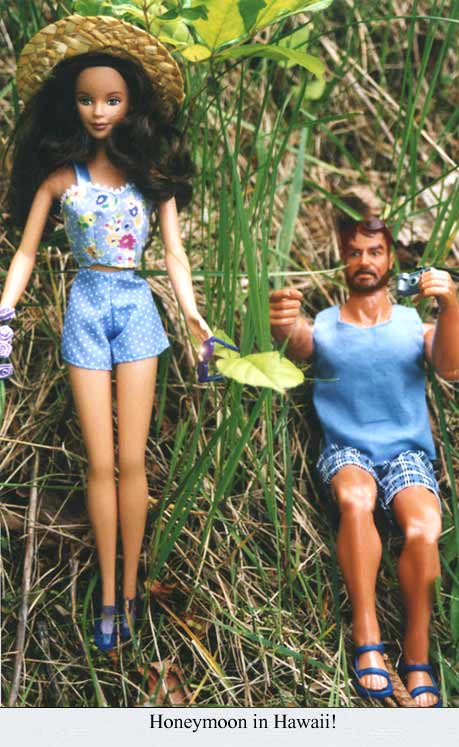 Honeymoon in Hawaii