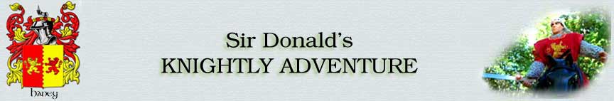 Sir Donald's Knightly Fighting Adventure