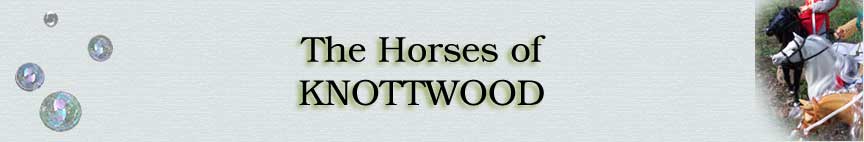 The Knottwood Horses