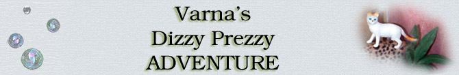 Varna's Dizzy Prezzy Adventure