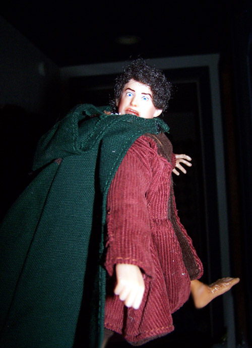 POOR Frodo Baggins!