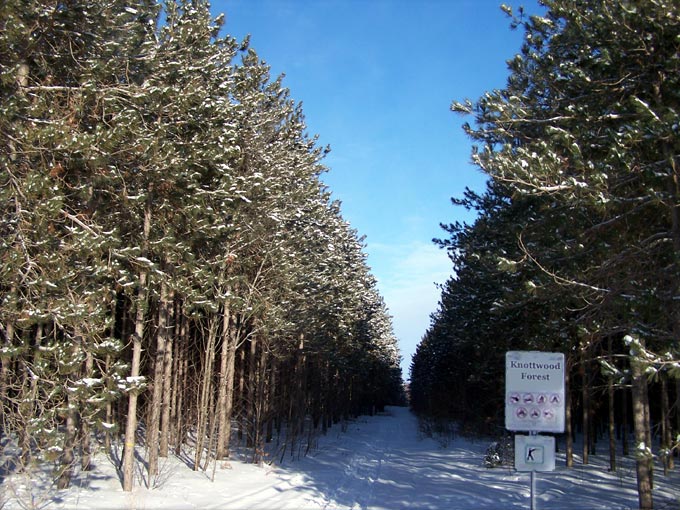 What a beautiful day!