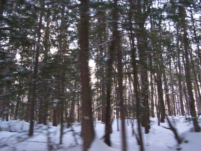 They ARE going at a great pace...