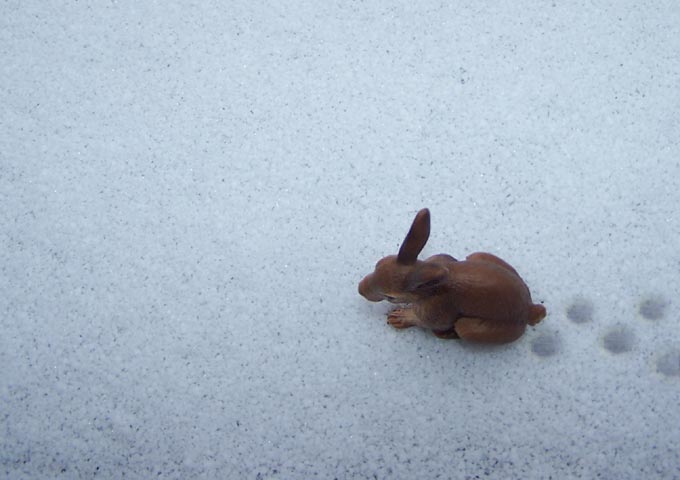 Lucky little creature!