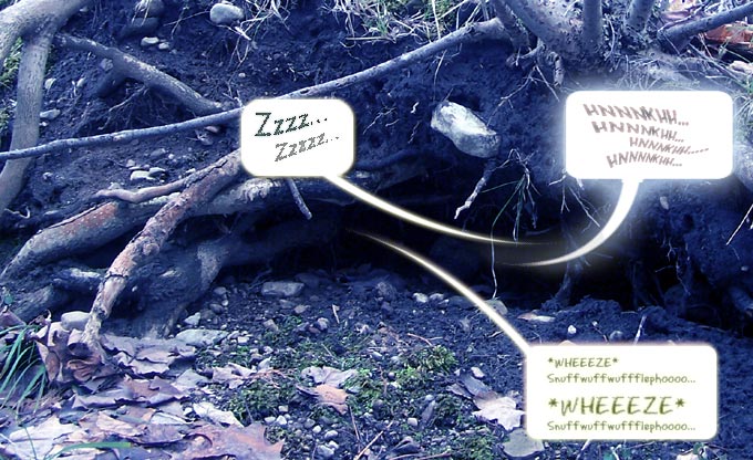 They DO sound peaceful!